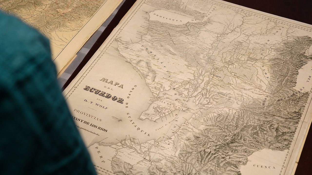 Wir, die Wolfs : Bild