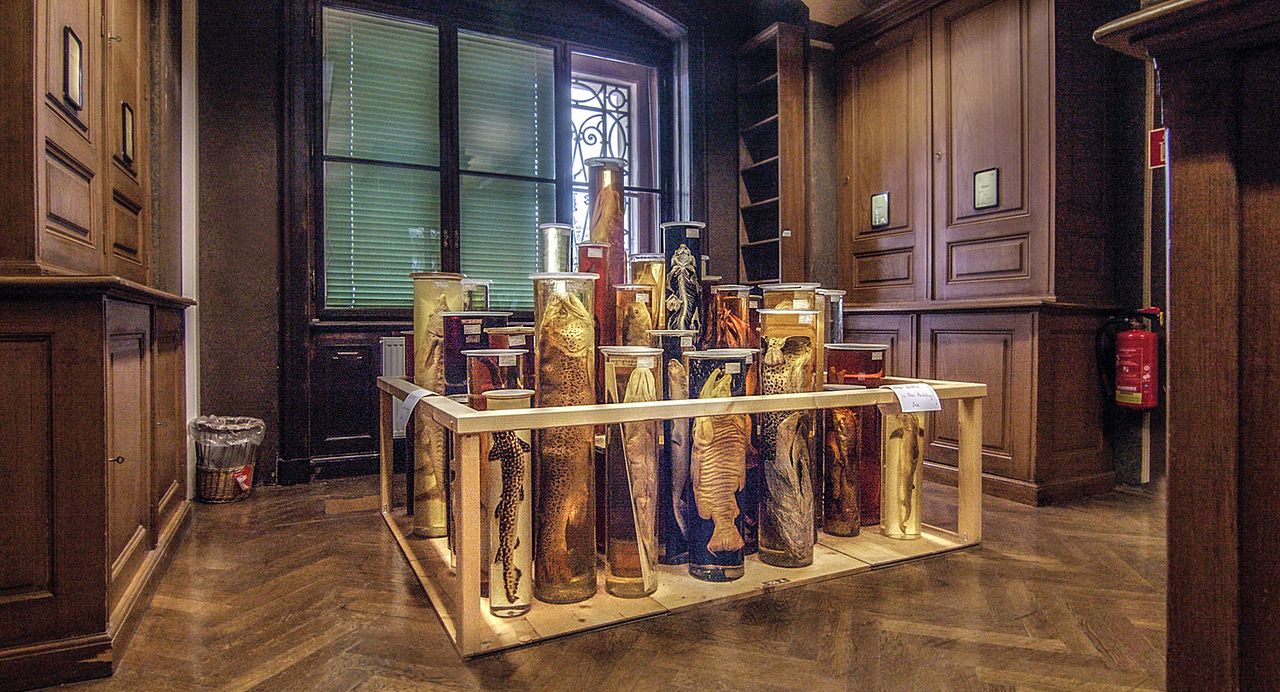 Archiv der Zukunft : Bild