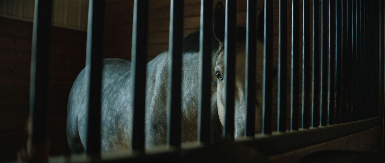 Untold: The Shooting At Hawthorne Hill : Bild