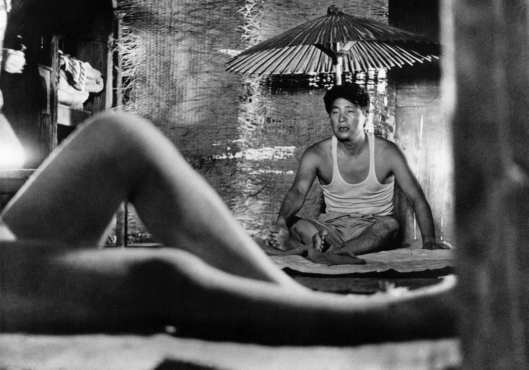 Die Frau in den Dünen : Bild