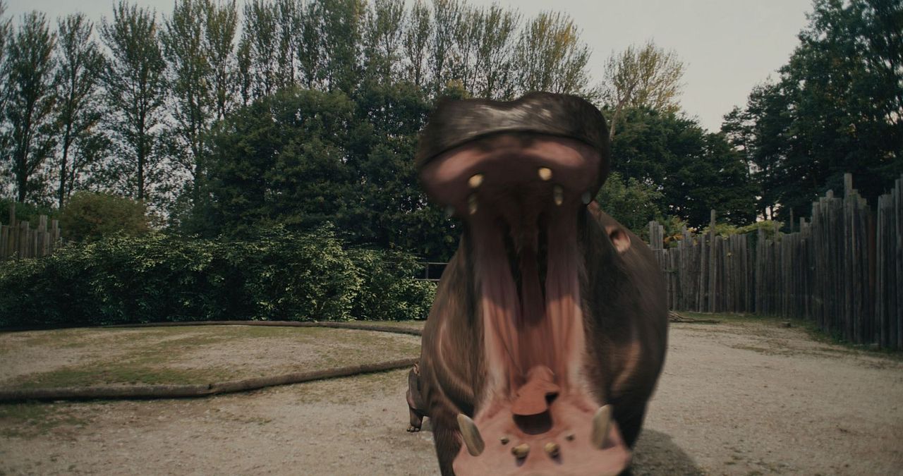 Hippo's Revenge - Drei Tonnen Zorn : Bild