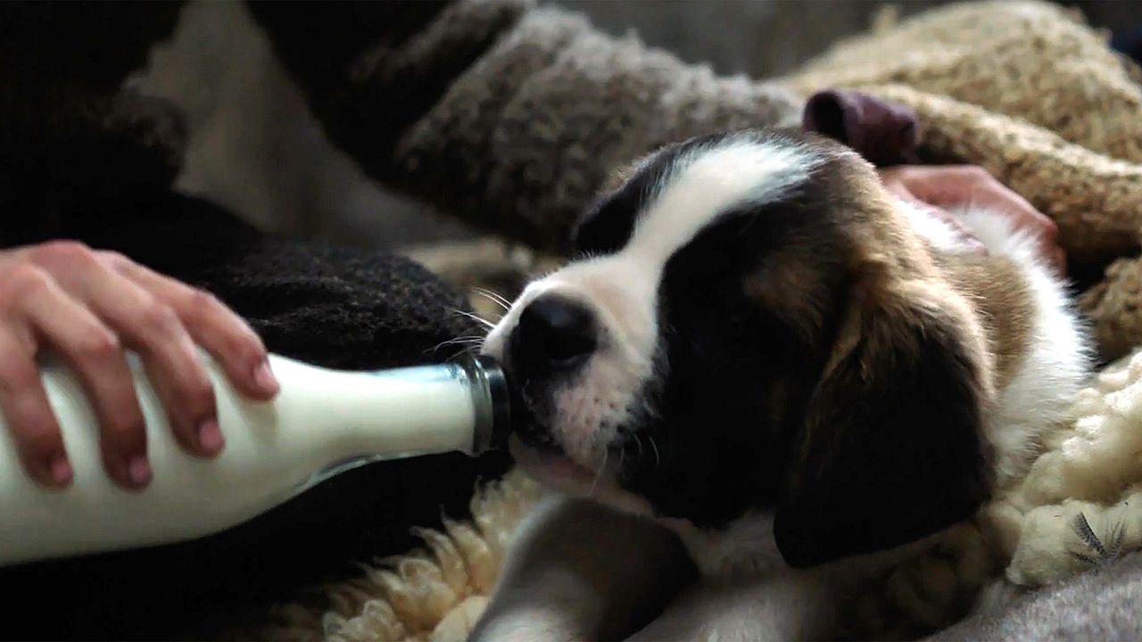 Mein Freund Barry : Bild