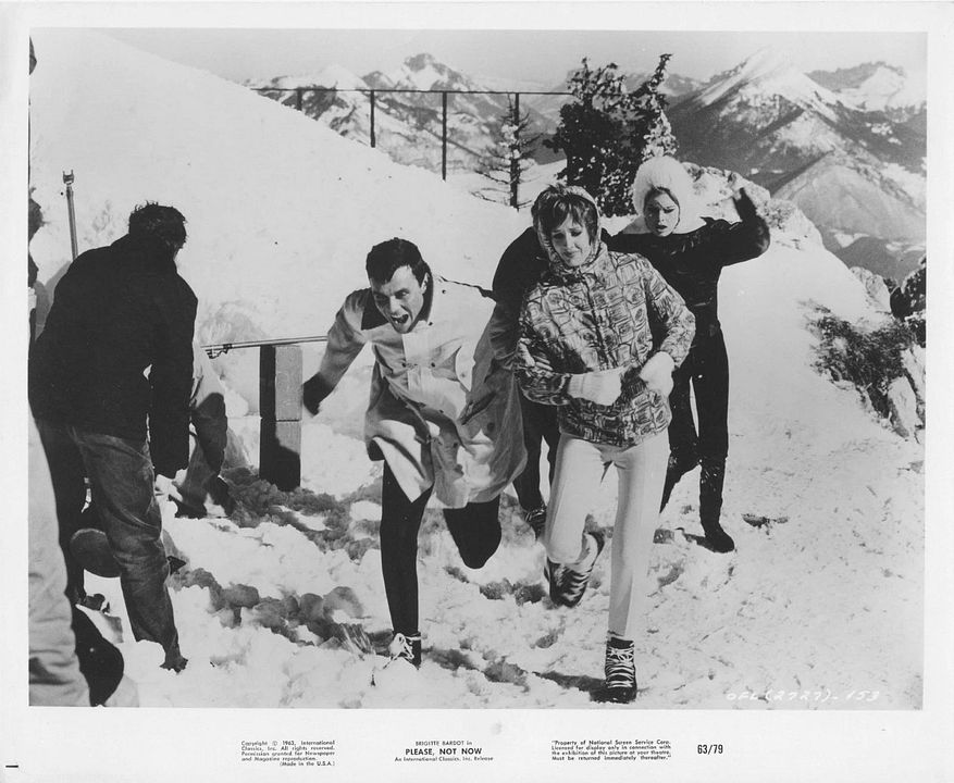 In Freiheit dressiert : Bild