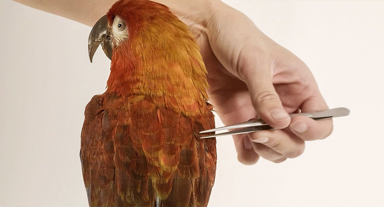 Archiv der Zukunft : Bild