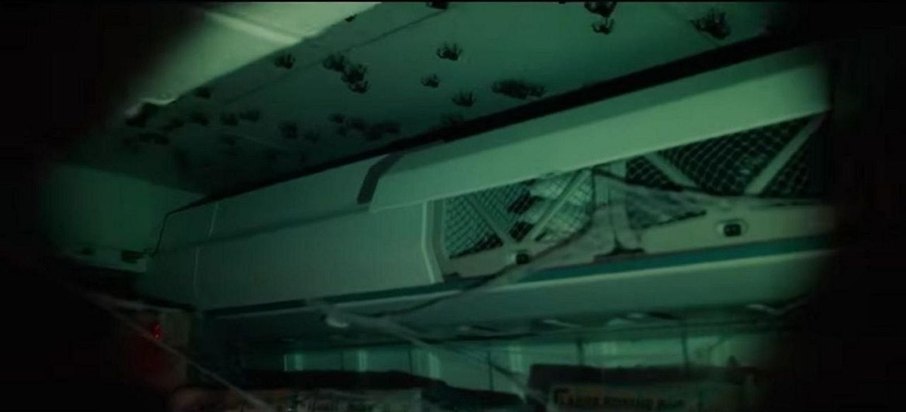 Spiders On A Plane : Bild