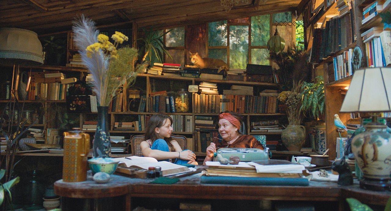 I Accidentally Wrote a Book - Der Sommer, als (m)ich meine Geschichte fand : Bild