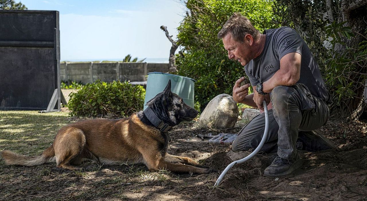 Muzzle: City Of Wolves : Bild