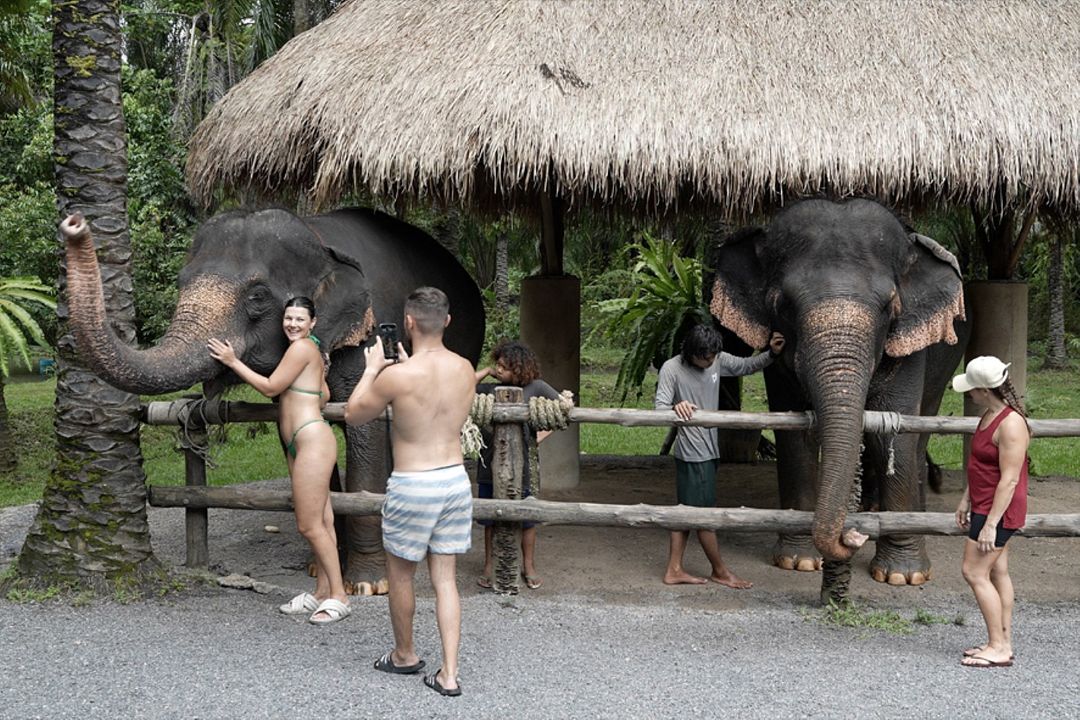 Siam Diary - Ein Film über das Reisen : Bild