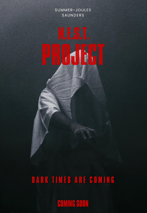 The Eight Saga: N.E.S.T. Project : Kinoposter