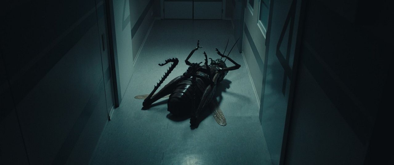 Der Kuss des Grashüpfers : Bild