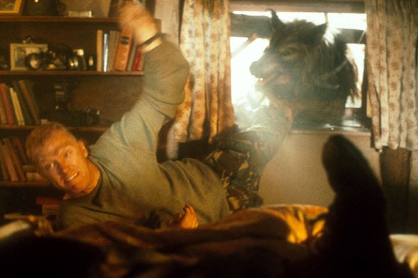 Dog Soldiers : Bild