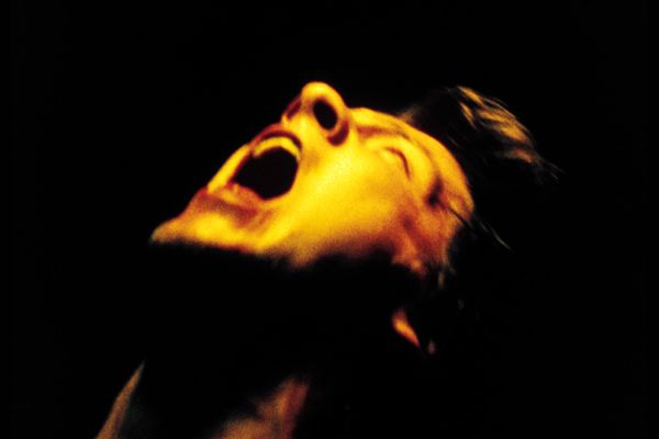 Bild Zachary Knighton