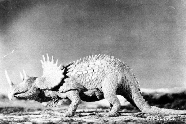 Die verlorene Welt : Bild