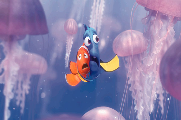 Findet Nemo : Bild