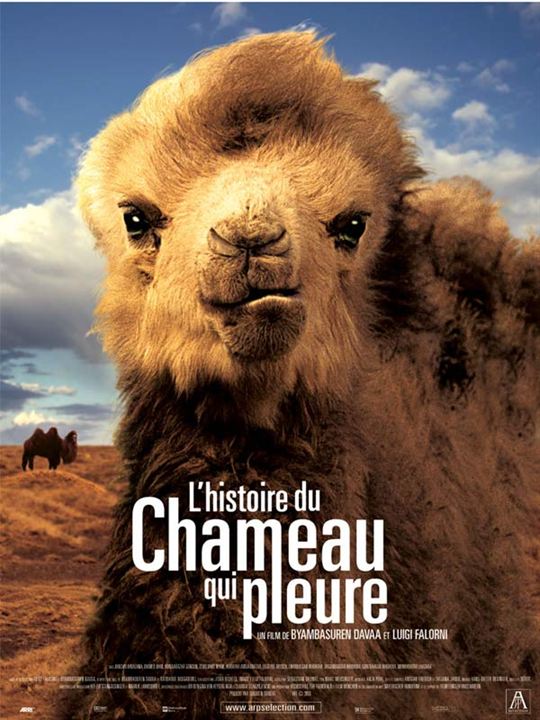 Die Geschichte vom weinenden Kamel : Kinoposter