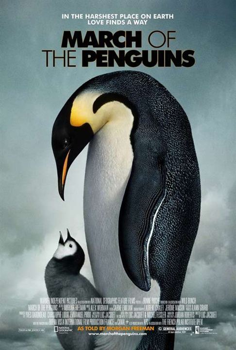 Die Reise der Pinguine : Kinoposter