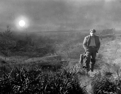 Sonnenaufgang : Bild F.W. Murnau, George O'Brien