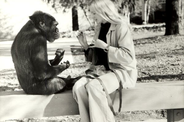 Koko, le gorille qui parle : Bild Penny Patterson, Barbet Schroeder