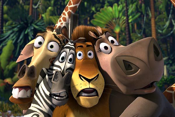 Madagascar : Bild