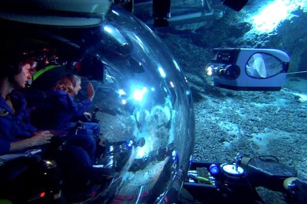 Aliens der Meere : Bild