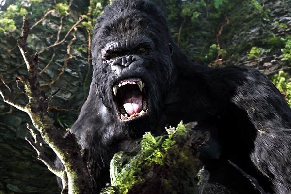 King Kong : Bild