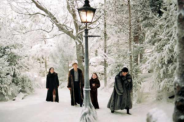 Die Chroniken von Narnia - Der König von Narnia : Bild Andrew Adamson