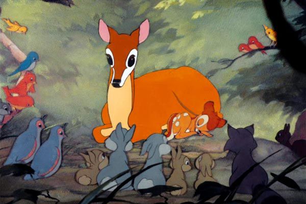 Bambi : Bild