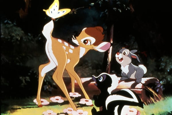 Bambi : Bild