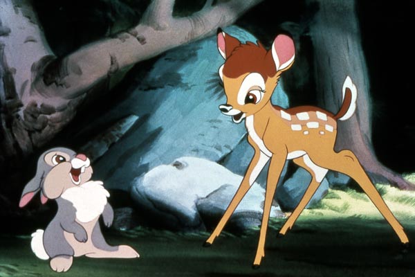 Bambi : Bild