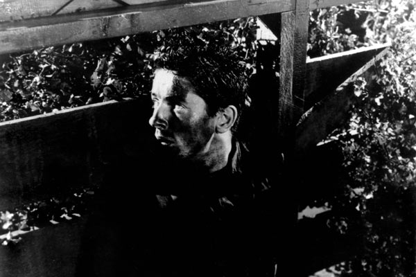 They Live by Night : Bild Nicholas Ray