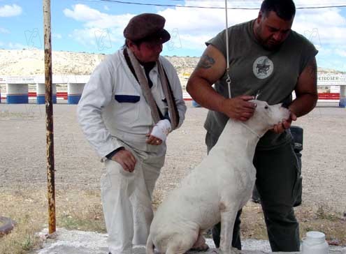 Bombón – Eine Geschichte aus Patagonien : Bild Juan Villegas, Walter Donado, Carlos Sorín