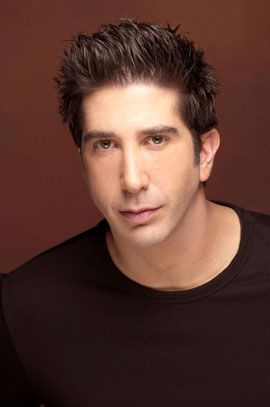 Bild David Schwimmer