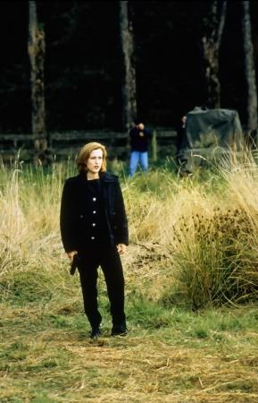 Bild Gillian Anderson