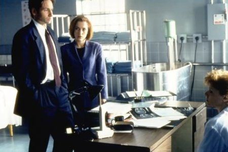 Bild David Duchovny, Gillian Anderson
