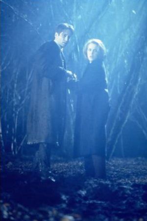 Bild David Duchovny, Gillian Anderson