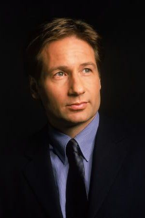 Bild David Duchovny