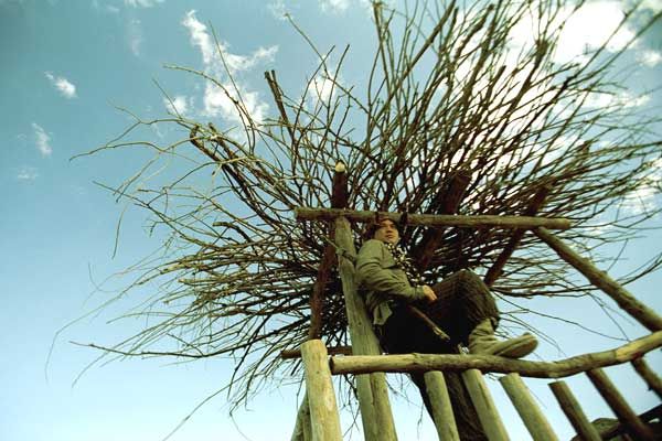 Sieben Schwerter : Bild