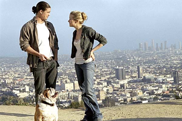 Newcomer - Tausche Ruhm gegen Liebe : Bild Pell James, Meiert Avis, Steven Strait