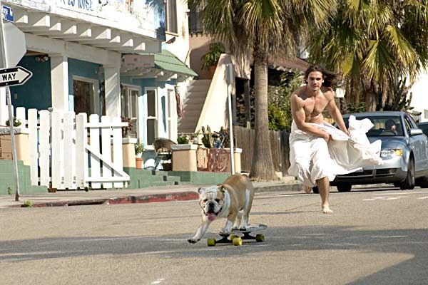 Newcomer - Tausche Ruhm gegen Liebe : Bild Meiert Avis, Steven Strait