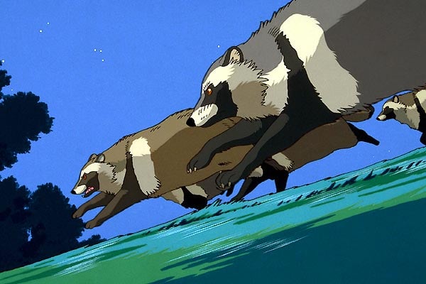 Pom Poko : Bild