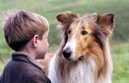 Lassie kehrt zurück : Bild Charles Sturridge