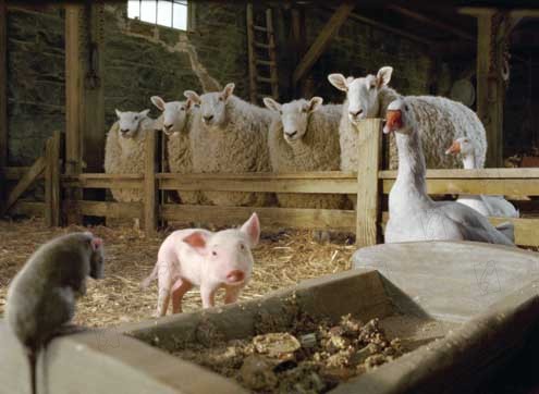 Schweinchen Wilbur und seine Freunde : Bild Gary Winick