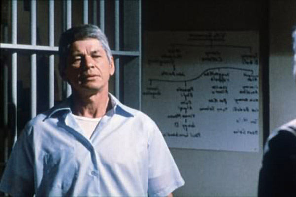 Die Valachi-Papiere : Bild Charles Bronson, Terence Young
