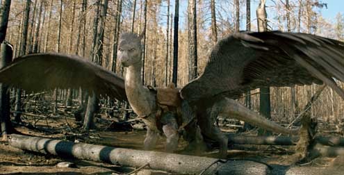 Eragon - Das Vermächtnis der Drachenreiter : Bild Stefen Fangmeier