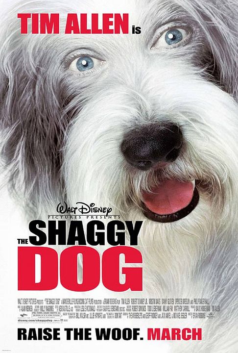 The Shaggy Dog : Kinoposter Brian Robbins, Tim Allen