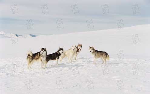 Antarctica - Gefangen im Eis : Bild Frank Marshall