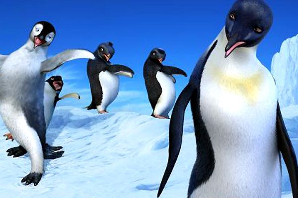 Happy Feet : Bild