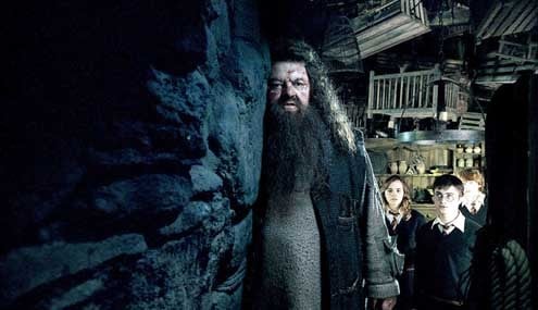 Harry Potter und der Orden des Phönix : Bild Rupert Grint, David Yates, Daniel Radcliffe, Emma Watson