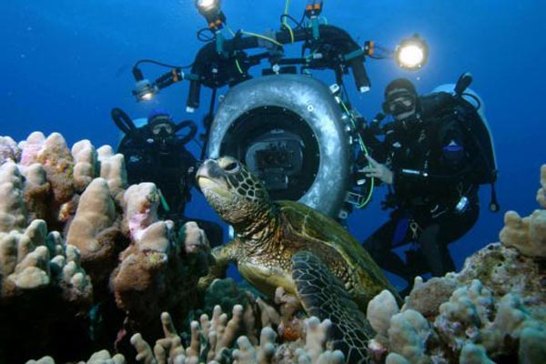 IMAX: Wunder der Tiefe 3D : Bild Howard Hall