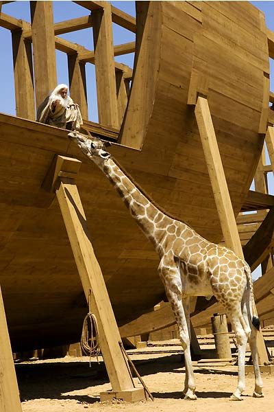 Evan allmächtig : Bild Steve Carell